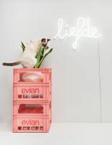 Bild: QAZQA lanciert angesagte LED Neonleuchten