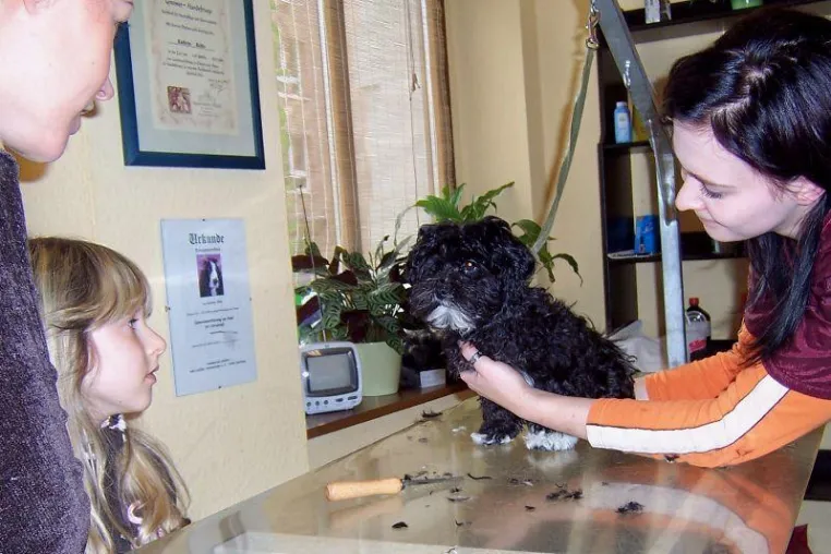 Bild: 3. Welpentag im Hundesalon FREI SCHNAUZE am 23.10.2008
