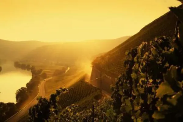 Bild: Radeln & Schlemmen in der herbstlichen Weinregion an der Mosel - "Indian Summer" im Ferienland Bernkastel-Kues