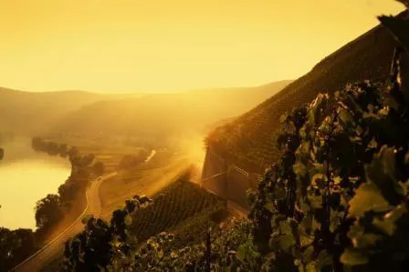 Bild: Radeln & Schlemmen in der herbstlichen Weinregion an der Mosel - "Indian Summer" im Ferienland Bernkastel-Kues