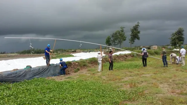 Bild: Rostocker Lehrstuhl für Windenergietechnik forscht für Vietnam