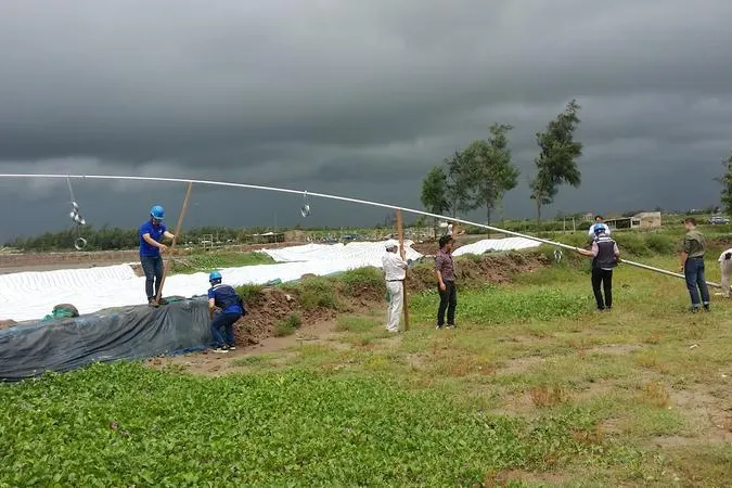 Bild: Rostocker Lehrstuhl für Windenergietechnik forscht für Vietnam