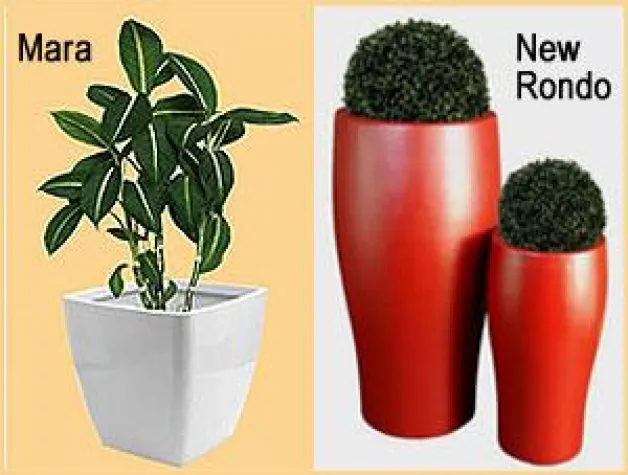 Bild: Harmonie und Kontrast: Innenraumdesign mit Pflanzkübeln