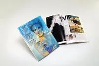 Bild: PrintStar 2010 – Innovationspreis der Deutschen Druckindustrie für das Magazin „Elle“