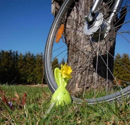 Bild: Unterwegs auf dem ersten Teil des mecklenburgischen Seenradweges – viele Angebote zum Saisonstart