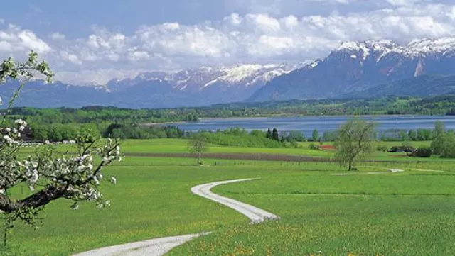 Natur pur in beeindruckender Bilderbuchlandschaft: Die Region Waginger See Salzachtal weckt Frühlingsgefühle Bild: Natur pur in beeindruckender Bilderbuchlandschaft: Die Region Waginger See Salzachtal weckt Frühlingsgefühle