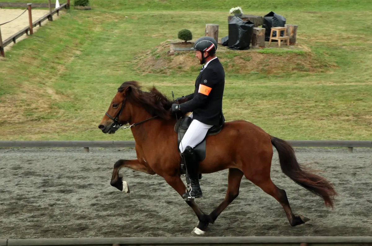 Zweifache Deutscher Meister: Frederic Feldmann und Röskva vom Habichtswald (© Internationale Gangpferde-Vereinigung e.V. )