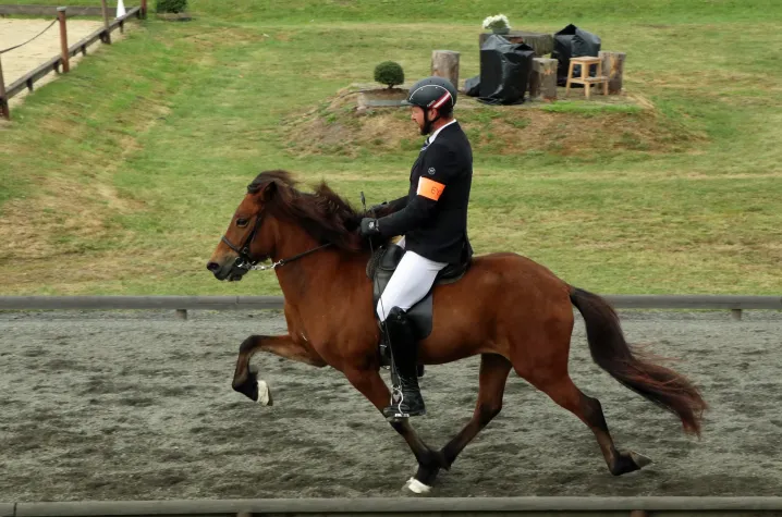 Rückblick auf das Jubiläumsturnier – 30. IDMG in Bad Honnef-Aegidienberg Bild: Rückblick auf das Jubiläumsturnier – 30. IDMG in Bad Honnef-Aegidienberg