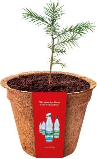 Bild: Als erster deutscher Getränkehersteller verschenkt Thüringer Waldquell Weihnachtsbäume für die Zukunft