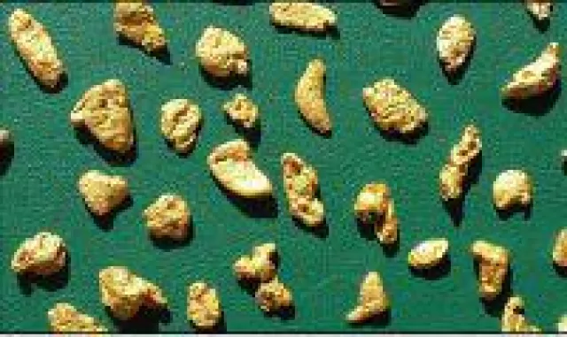 Bild: De Grey Mining - Über 90 Goldnuggets deuten hochgradige Goldvorkommen an!