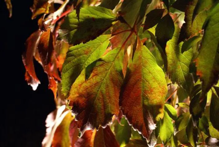 Bild: Fotoausstellung "Zeiten der Stille" in München von Manuela Merl