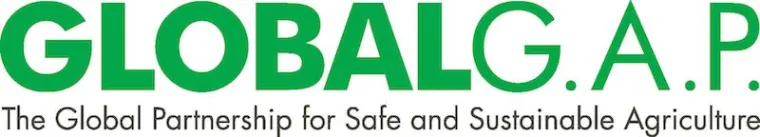 Bild: Globale Lösungen nur über mehr Kooperation