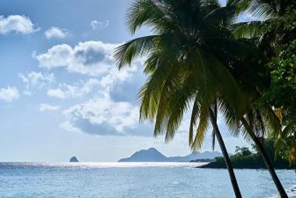 Landschaft auf Martinique_Copyright Comité Martiniquais du Tourisme