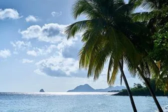 Inselhopping auf Martinique Bild: Inselhopping auf Martinique