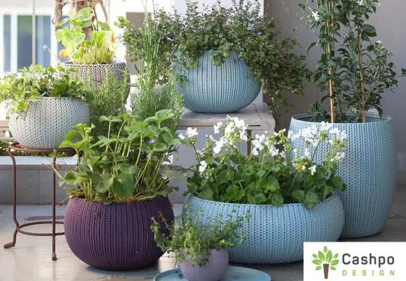 Blumentöpfe für Draußen Bild: Blumentöpfe für Draußen