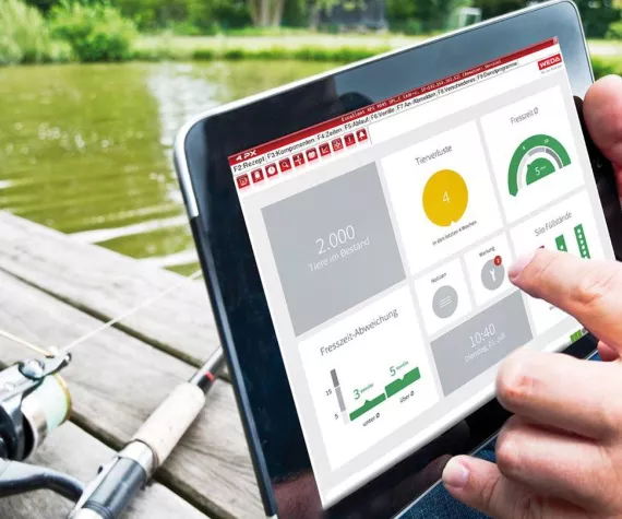 Bild: Armaturenbrett im Schweinestall