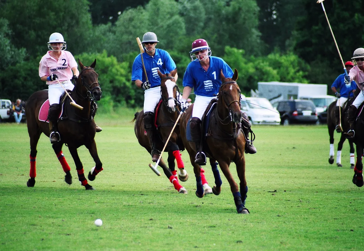 Polo in Falkensee-Finkenkrug vor den Toren Berlins