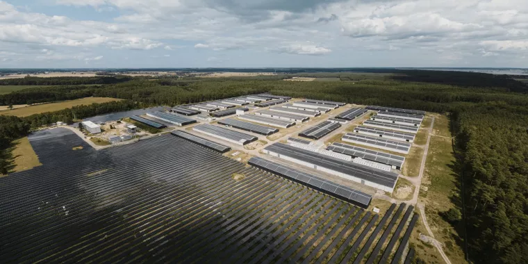 Bild: Größter Cannabis-Club aus Hannover startet bald mit dem Anbau