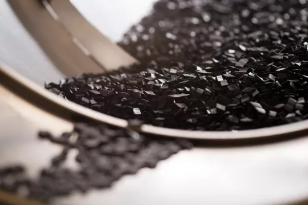 Bild: Rheila hat ein neues Zuhause