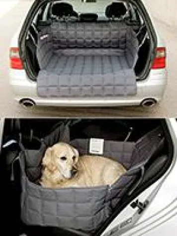 Bild: VIER PFOTEN UNTERWEGS