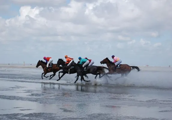 Bild: Duhner Wattrennen 2011 in Cuxhaven