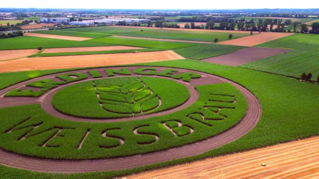 Bild: Blühende Logos und Werbung auf dem Acker: Startup GEOXIP im Fernsehen