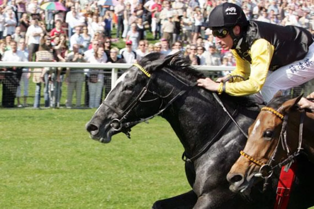 Jockey Andrasch Starke (hier bei seinem Bult-Sieg auf Addicted) reitet den Favoriten Abbadjinn im ?Großen Preis der Verlagsgruppe Madsack?