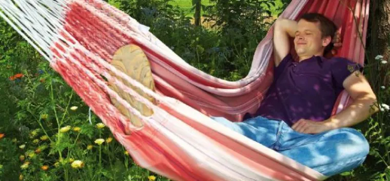 Bild: Allianz Bank startet Tagesgeld „Hochzins“ mit 2,3% p.a.