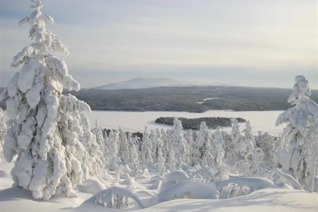 Bild: Mystisch und bezaubernd: Natur pur im Arktische Winter Lapplands