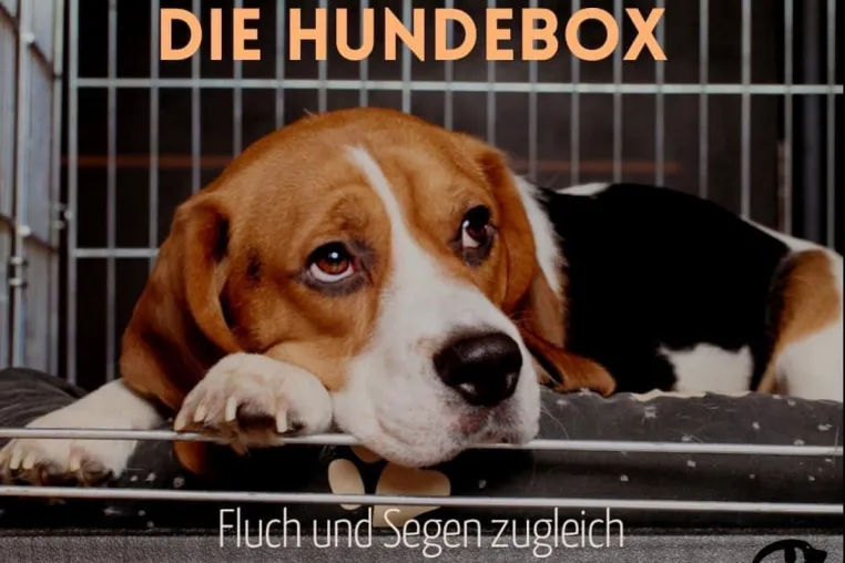 Bild: Die Hundebox – Fluch und Segen zugleich