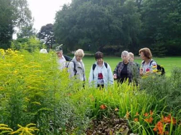 Bild: 50 plus Sprachreisen nach England