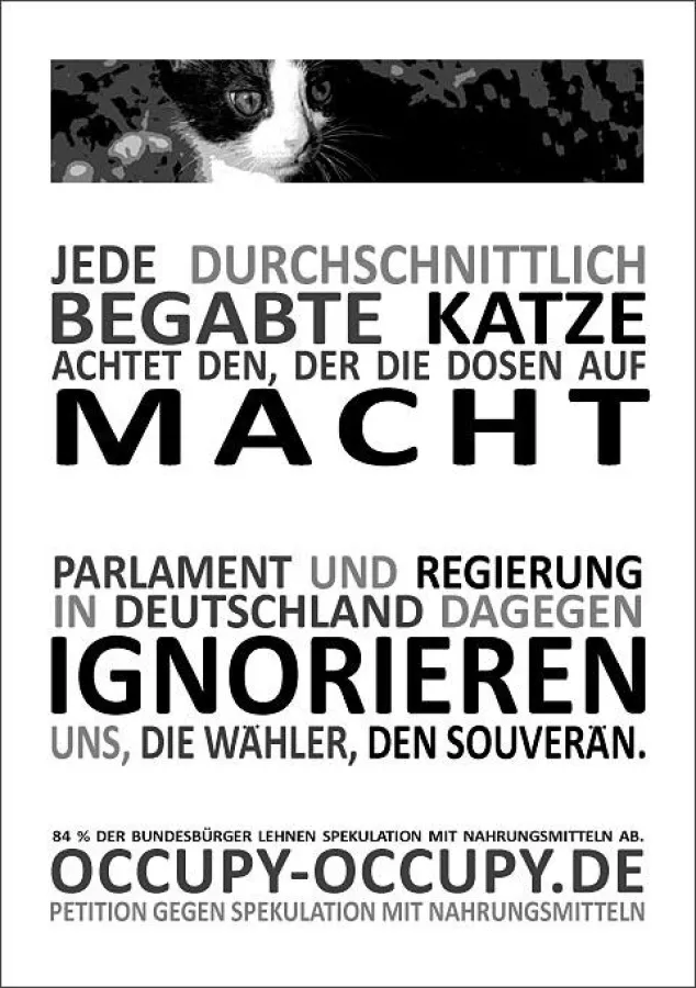 Flyer zur Initiative von Occupy:Occupy