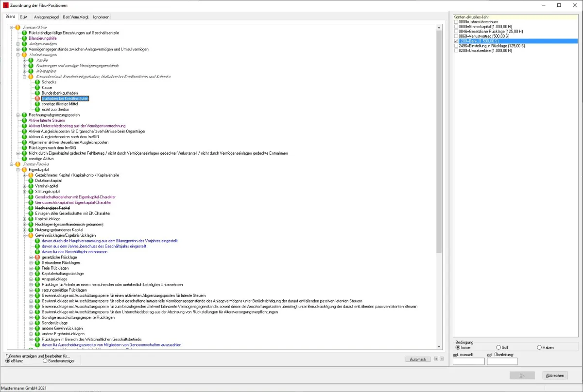 eBilanz-Taxonomie mit Fibu-Konten-Zuordnung (© Matthias Hanft)