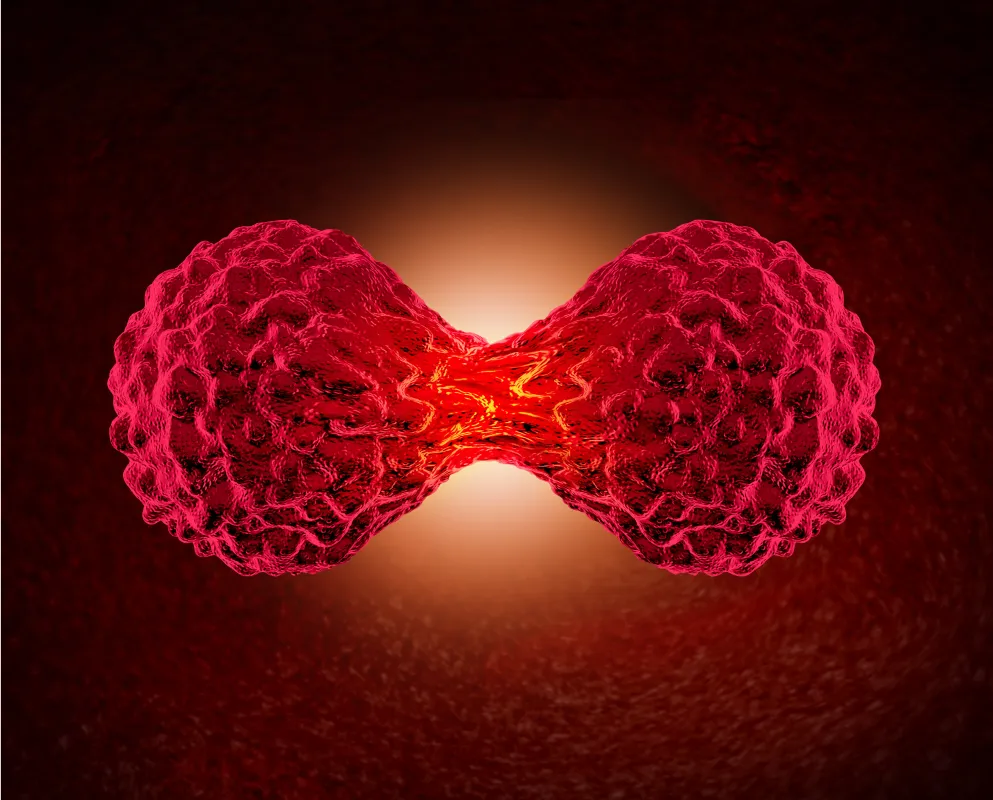 IMMUMEDIC Limited (© IMMUMEDIC Limited)