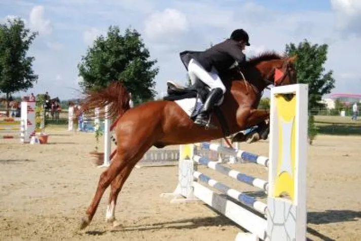 Bild: Staatsanwaltschaft verfügt - Doping verstößt gegen das Tierschutzgesetz