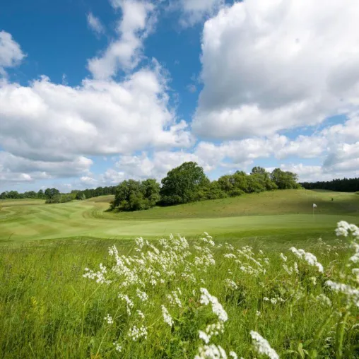 Bild: Umweltfreundliche Steinpapierlösung für das größte Golferproblem