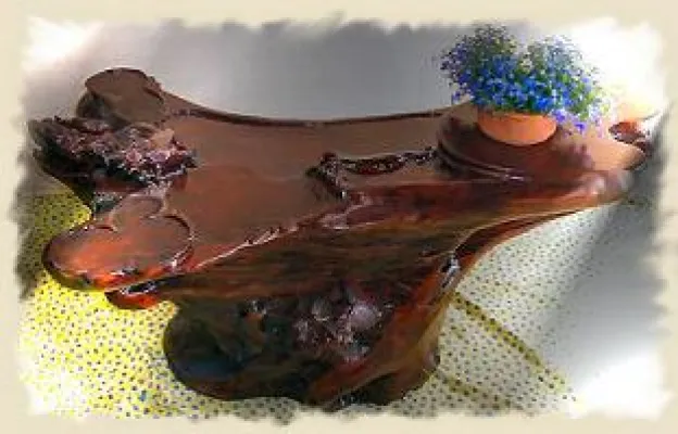 Bild: Exklusives Interieur aus Wurzelholz