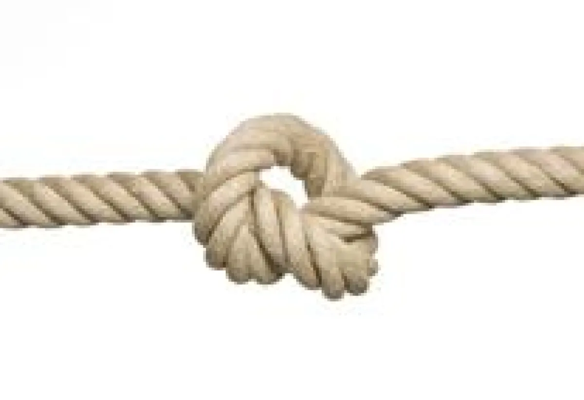 Herbie - Fotolia.com