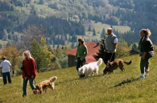 Bild: Spiel- und Spaßwoche für Herrchen und Hund