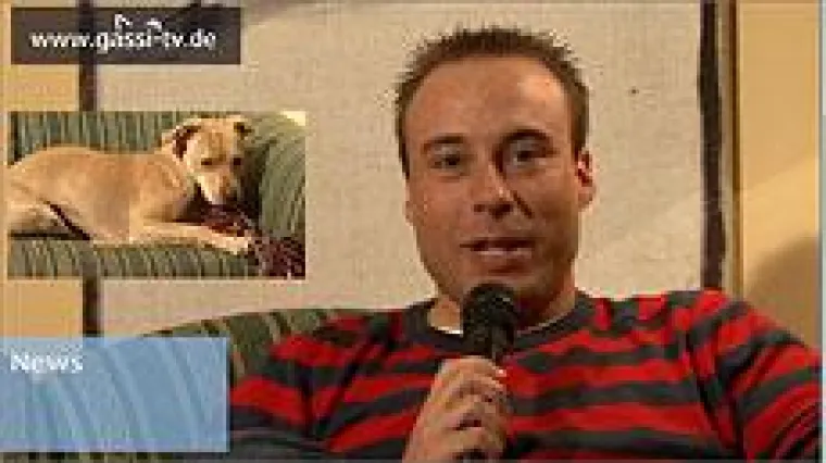 Bild: Die schlauen Hunde... und gutes tun zu Weihnachten