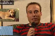 Bild: Die schlauen Hunde... und gutes tun zu Weihnachten