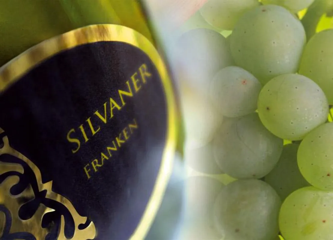 Silvaner aus Franken