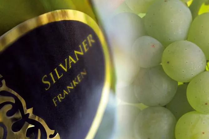 Bild: ProWein feierte 350 Jahre Silvaner