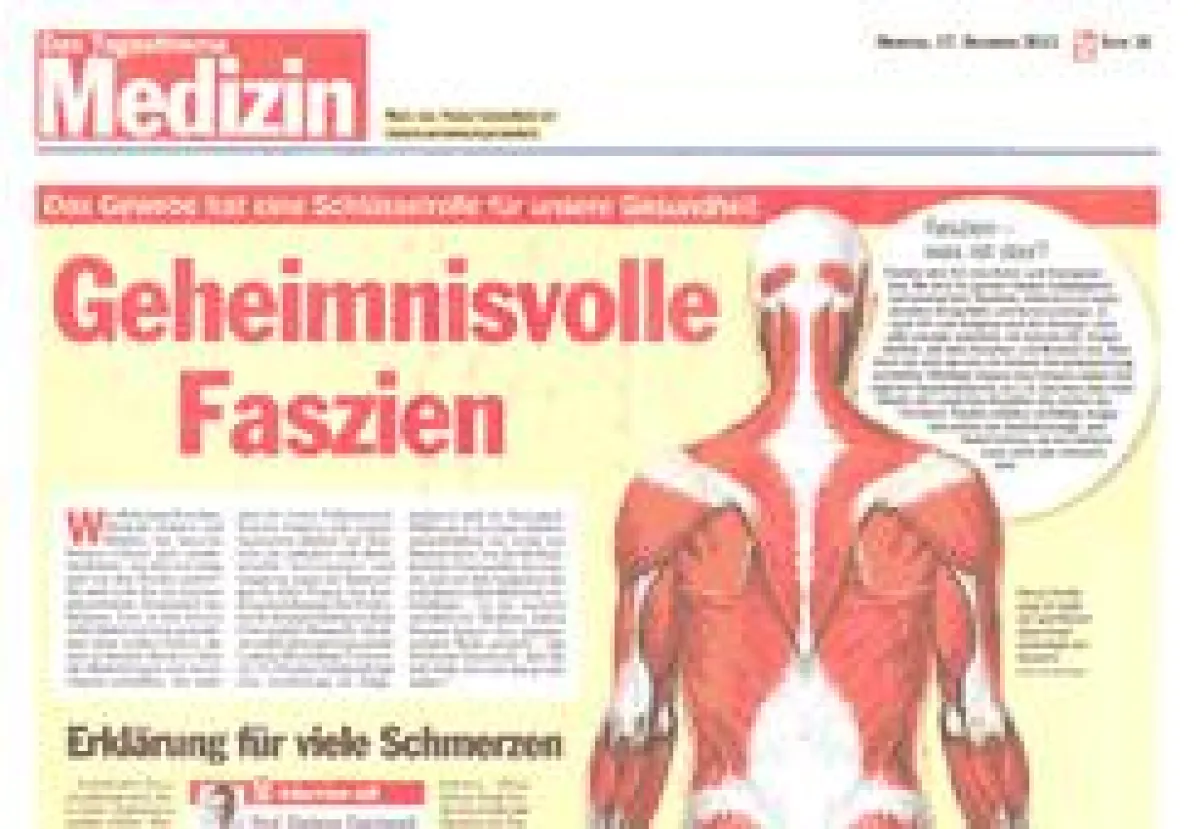 Faszein (Prof. Dr. Dietmar Daichendt)