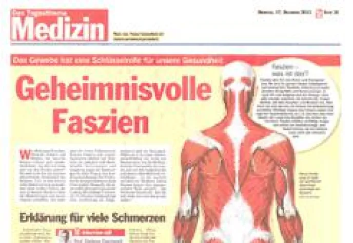 Bild: Faszien, das Geheimnis unseres Körpers