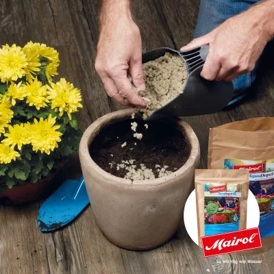 Bild: Wie Sie mit intelligentem Gießen Wasser und Zeit sparen