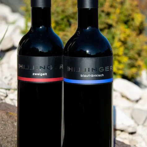 Bild: Neue Weine für den HILL of FAME