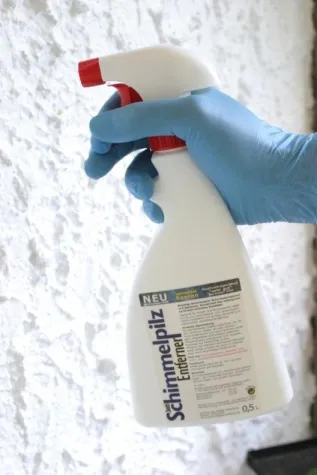 Bild: Ohne Gifte kleinflächigen Schimmelpilzbefall selbst beseitigen