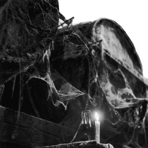 Bild: In Vino Literas – Salonkultur in der Eltviller Vinothek