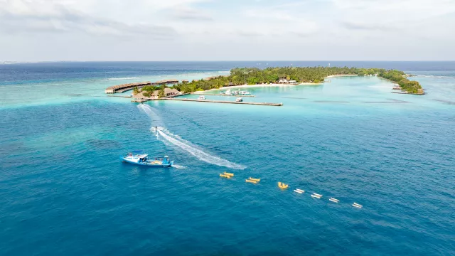 Bild: Sheraton Maldives Full Moon Resort & Spa meistert Umsiedlung von 800 Korallenkolonien